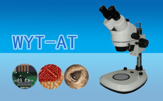 如何排除体视蜜桃传媒AV免费观看麻豆下载的故障